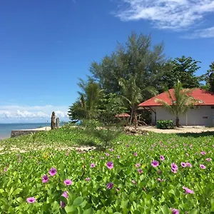 Red Coral , Langkawi Malasia